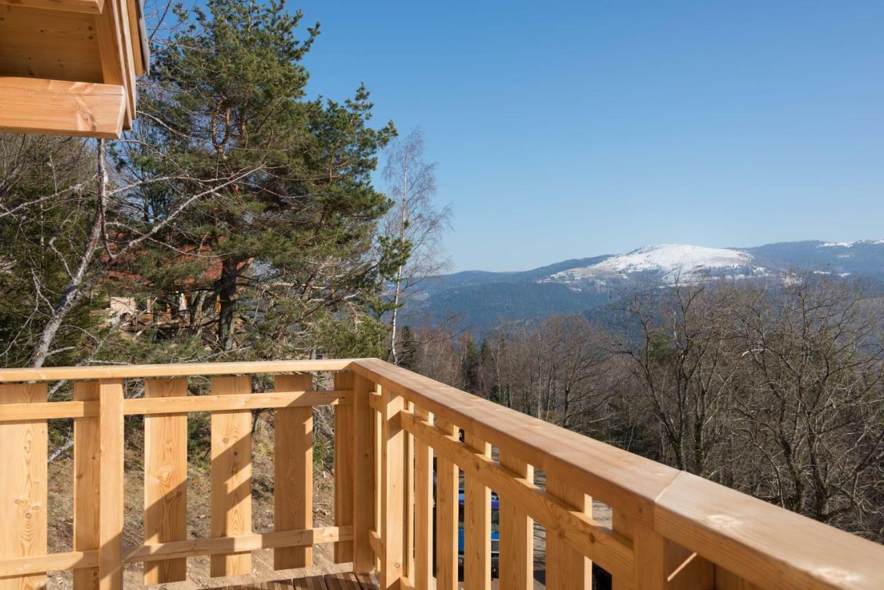 Les Chalets Perches Muhlbach-sur-Munster Exteriör bild